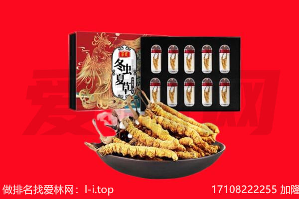 阳泉郊区回收虫草.jpg